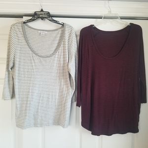 Set of two knit scoop neck shirts with 3/4 sleeves. Liz Claiborne and Ana.
